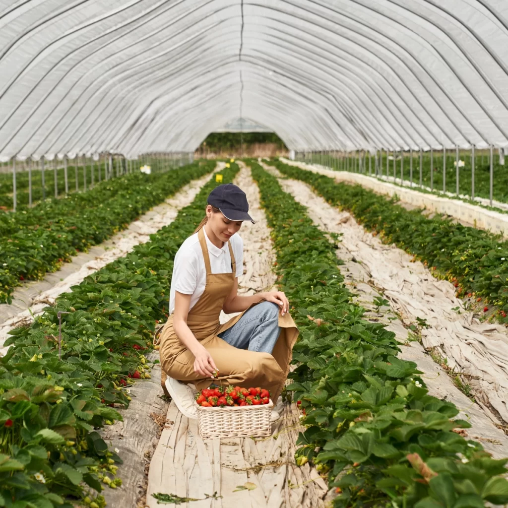 Cold-Resistant Crops