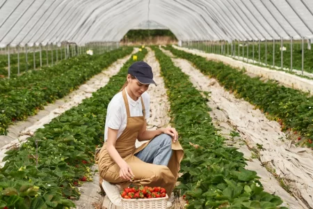 how to grow vegetables - cold resistant crops