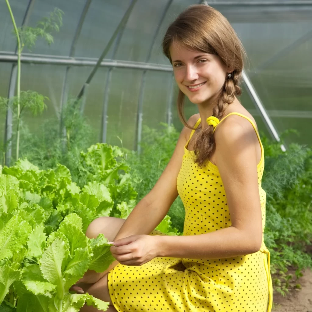 How to Grow Vegetables in a Greenhouse