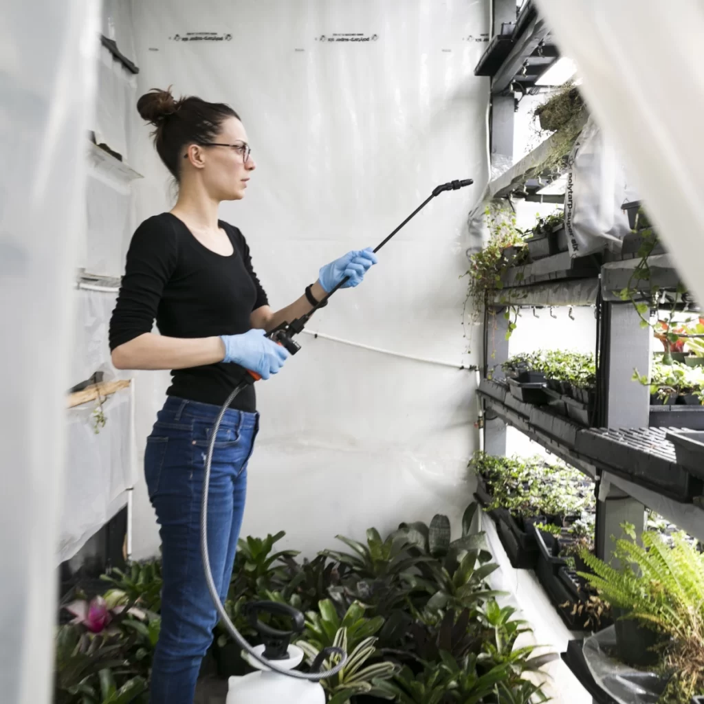Integrated Pest Management (IPM) Strategies
