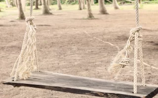 Softwoods Swing with Rope