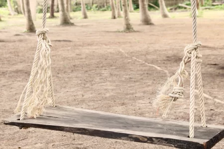 Softwoods Swing with Rope