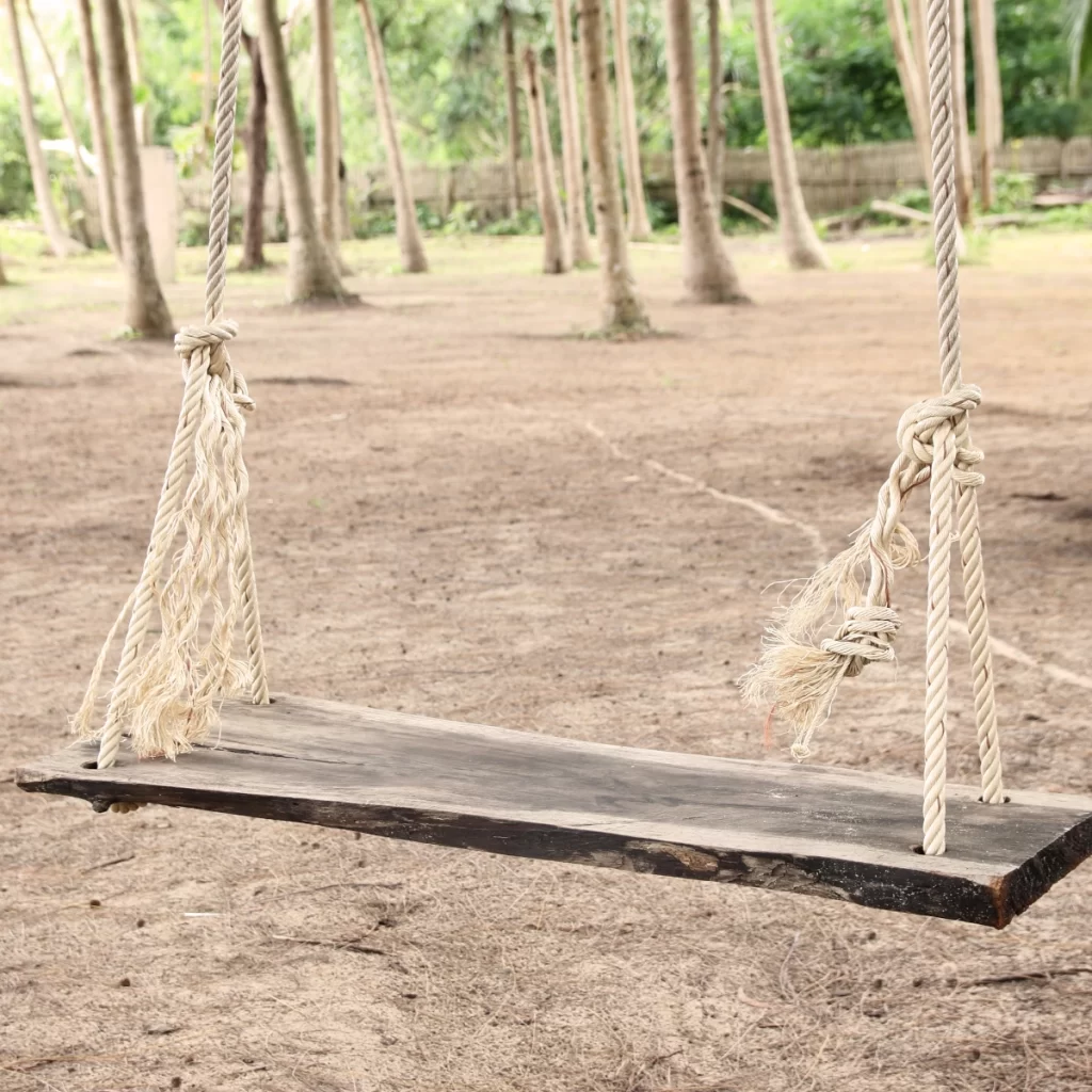 Softwoods swing with rope