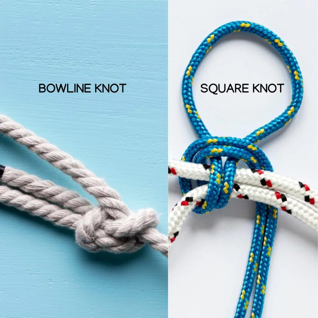 Bowline Knot and Square Knot