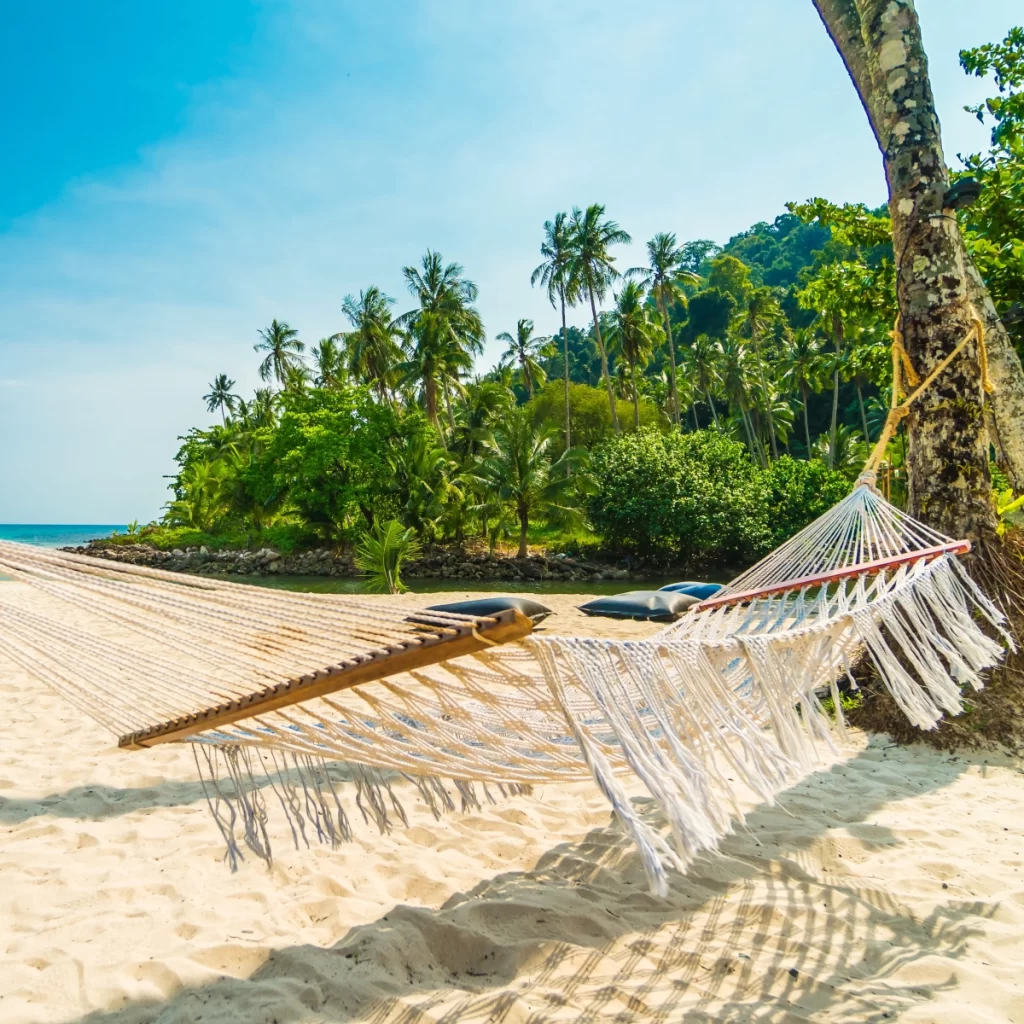 How to Choose a Hammock