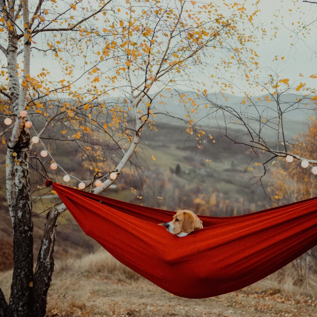Hammock for travel