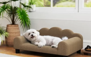 Small grey dog bed placed beside bed in modern room