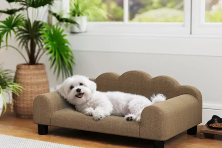Small grey dog bed placed beside bed in modern room