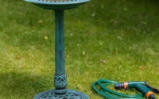 Green bird bath with hose and brush sitting on grass.