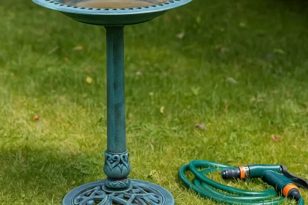 Green bird bath with hose and brush sitting on grass.