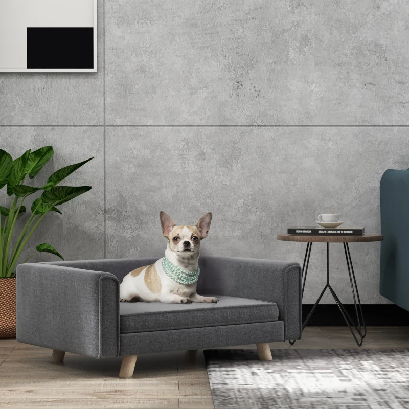 Small dog sitting on grey sofa with modern décor and plants.