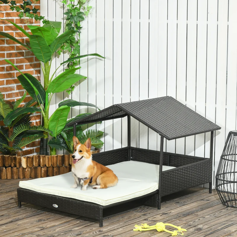 Corgi sitting on outdoor rattan bed with canopy and cushion.