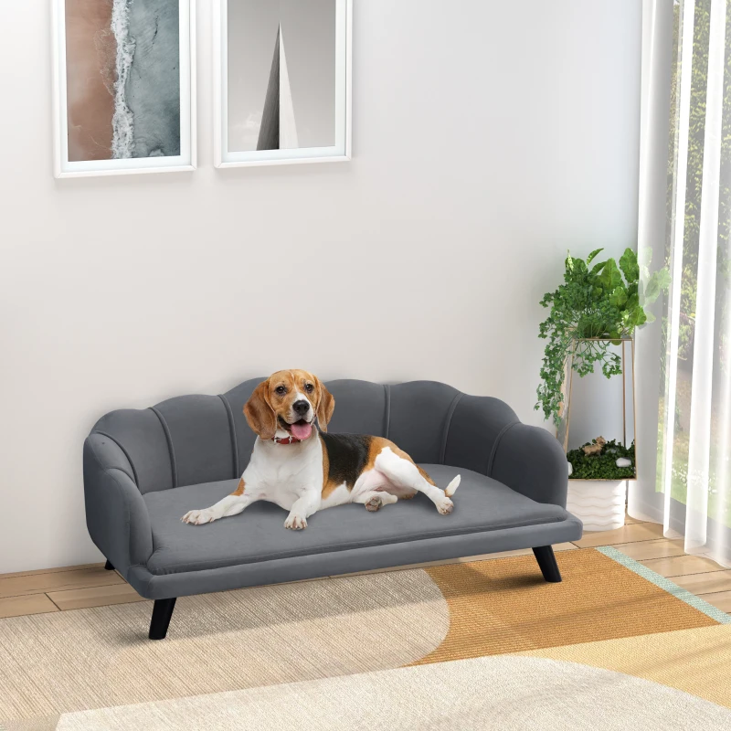 Beagle lounging on scalloped grey velvet sofa in bright room.