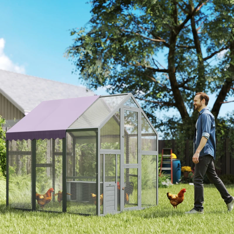 Walk-in mesh chicken enclosure with pitched roof and hens moving around the space.
