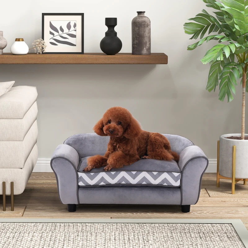 Brown poodle relaxing on grey patterned mini sofa in stylish living room.
