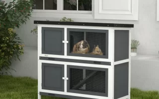 Two-tier outdoor rabbit hutch with mesh doors and two rabbits resting in the upper section.