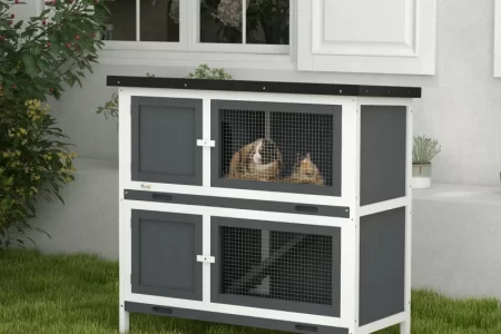 Two-tier outdoor rabbit hutch with mesh doors and two rabbits resting in the upper section.