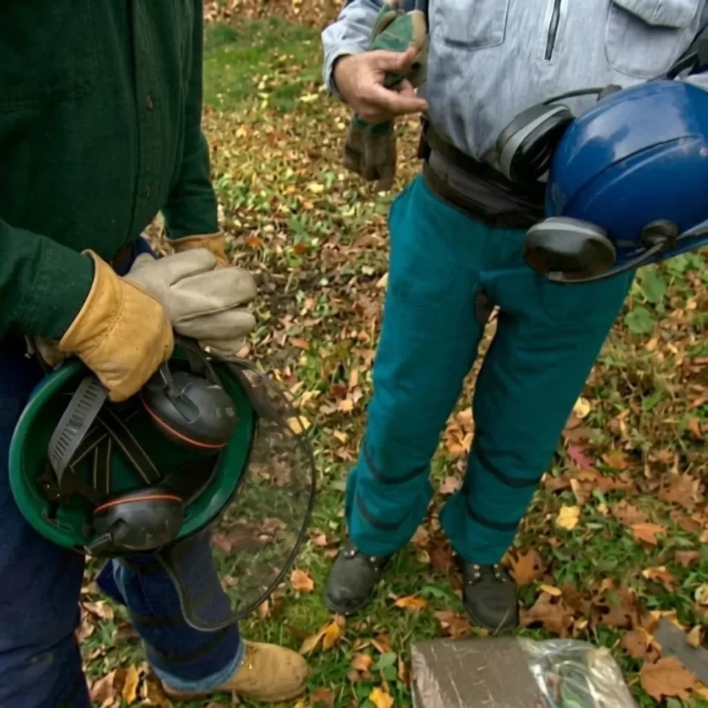 How to Use a Chainsaw: Complete Step-by-Step Guide for Beginners - Aosom